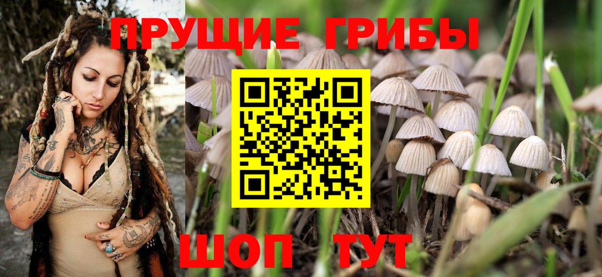Псилоцибиновые грибы MAGIC MUSHROOMS  Вход с VPN  Галлюциногенные грибы мицелий  Черкесск 