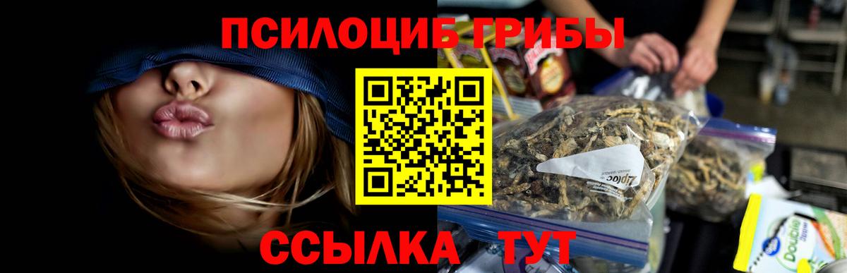 Псилоцибиновые грибы Psilocybe Черкесск
